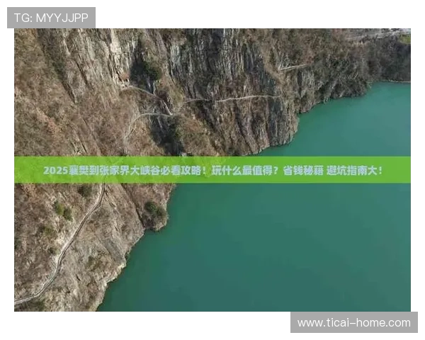 玩球体育直播品牌入口评测避坑指南